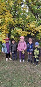 изображение Viber 2025 11 11 10 50 26 376