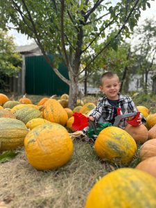 изображение Viber 2025 11 11 10 53 28 207