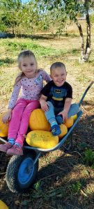 изображение Viber 2025 11 11 10 53 28 246