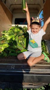 изображение Viber 2025 11 11 10 53 29 150