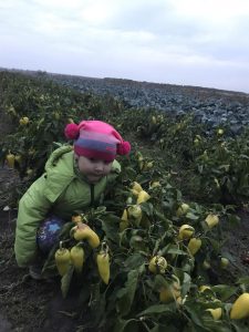 изображение Viber 2025 11 11 10 53 29 184