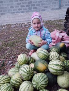 изображение Viber 2025 11 11 10 53 29 200