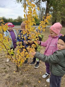 изображение Viber 2025 11 11 10 53 30 286